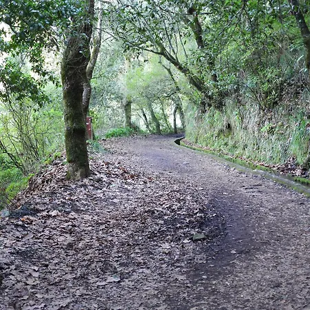 Valley Cruzinhas House With Fireplace & Bbq Apartment