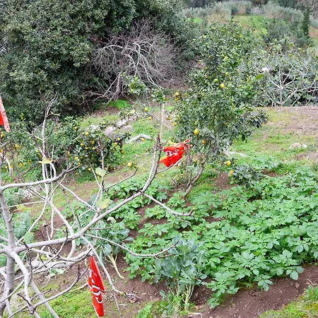 Valley Cruzinhas House With Fireplace & Bbq