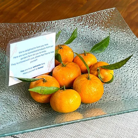 Valley Cruzinhas House With Fireplace & Bbq