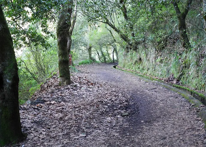 Valley Cruzinhas House With Fireplace & Bbq Apartment