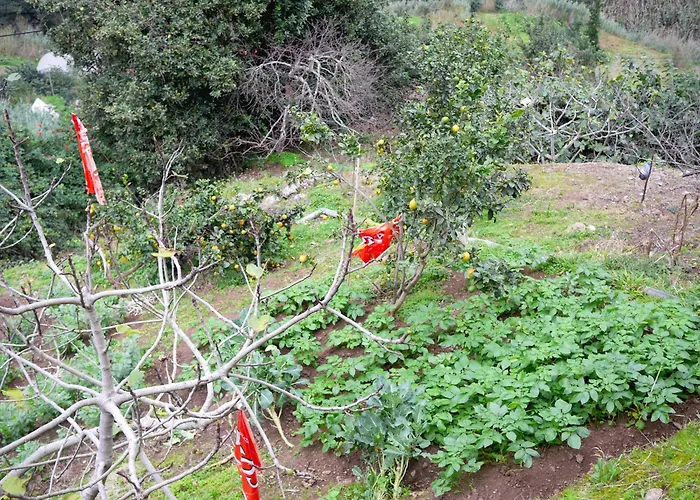 Valley Cruzinhas House With Fireplace & Bbq