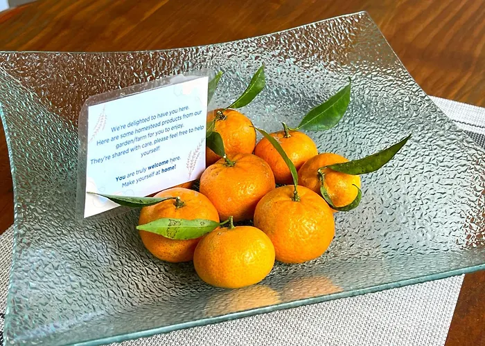 Valley Cruzinhas House With Fireplace & Bbq